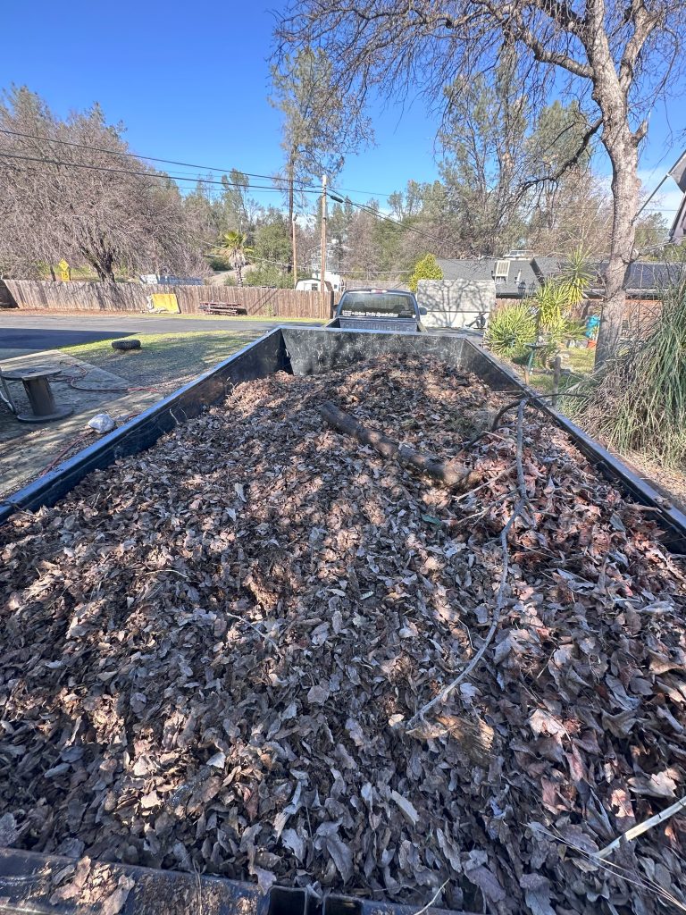 Junk Removal in Redding CA