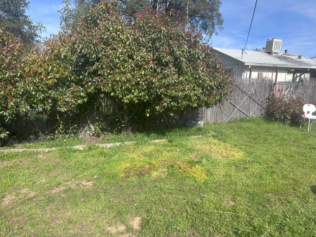 Junk Removal in Redding CA